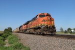 BNSF 6167 West